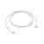 Apple Braided Type-C to Type-C Cable (iPhone 15 Series)